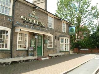The Walnut Tree